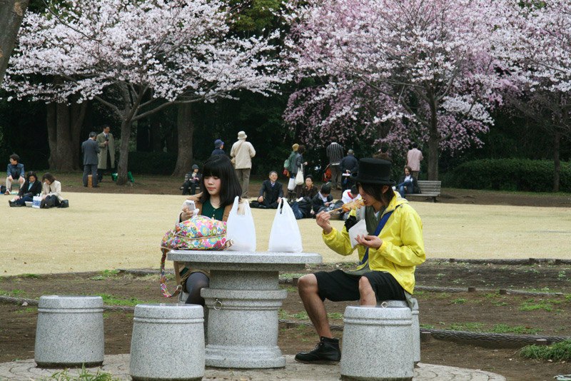 sakura